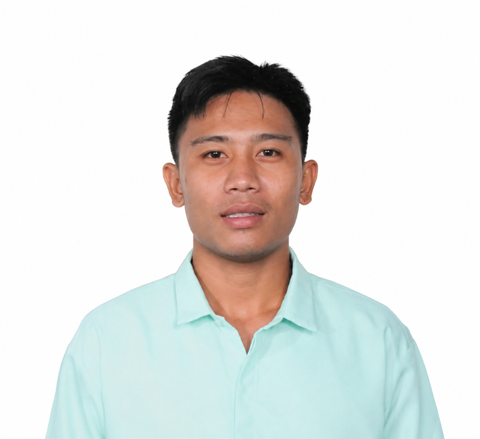 System Analyst